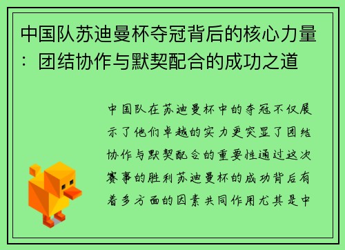 中国队苏迪曼杯夺冠背后的核心力量：团结协作与默契配合的成功之道
